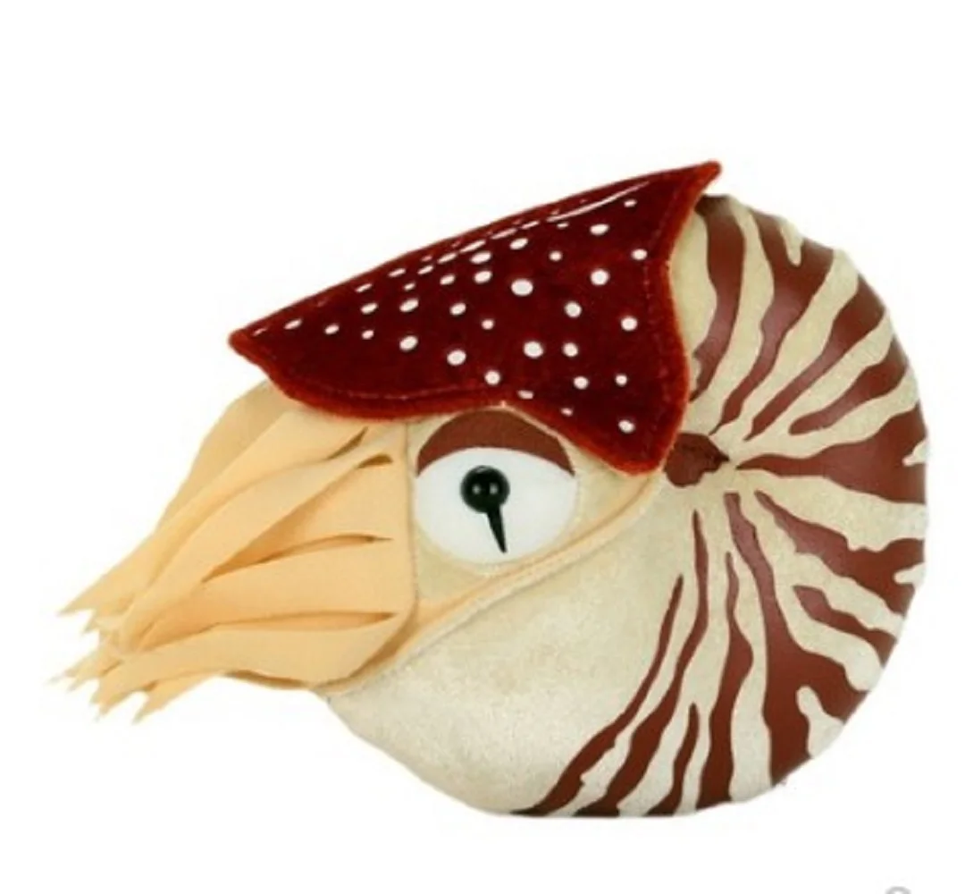 Рисунок 3 - Бесплатная доставка