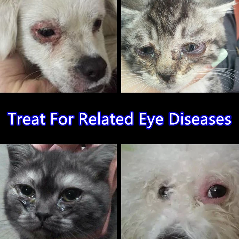 H01094964bc844cac9e1c5f430ced42848