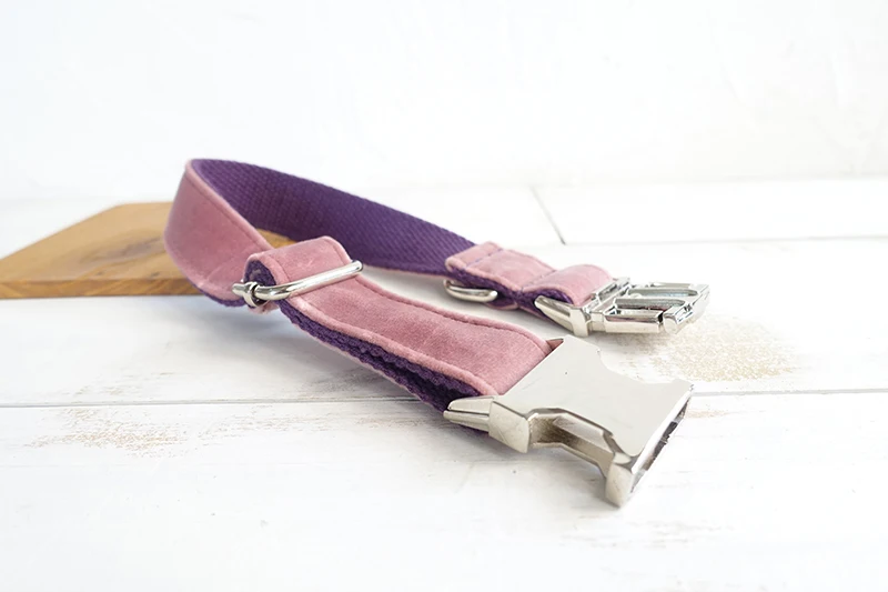 Dog Collar Lead Small Medium Large Puppy Pet Collar bowknot Bowtie Durable Metal Buckle Walking Training Dogs Leash Lead Nylon
