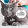 Stainless Steel Personalized Cat Tag Custom Cats Kitten ID Tag Engraved Cat Collar Pendant Necklace Pet Accessories Fish Shape 5
