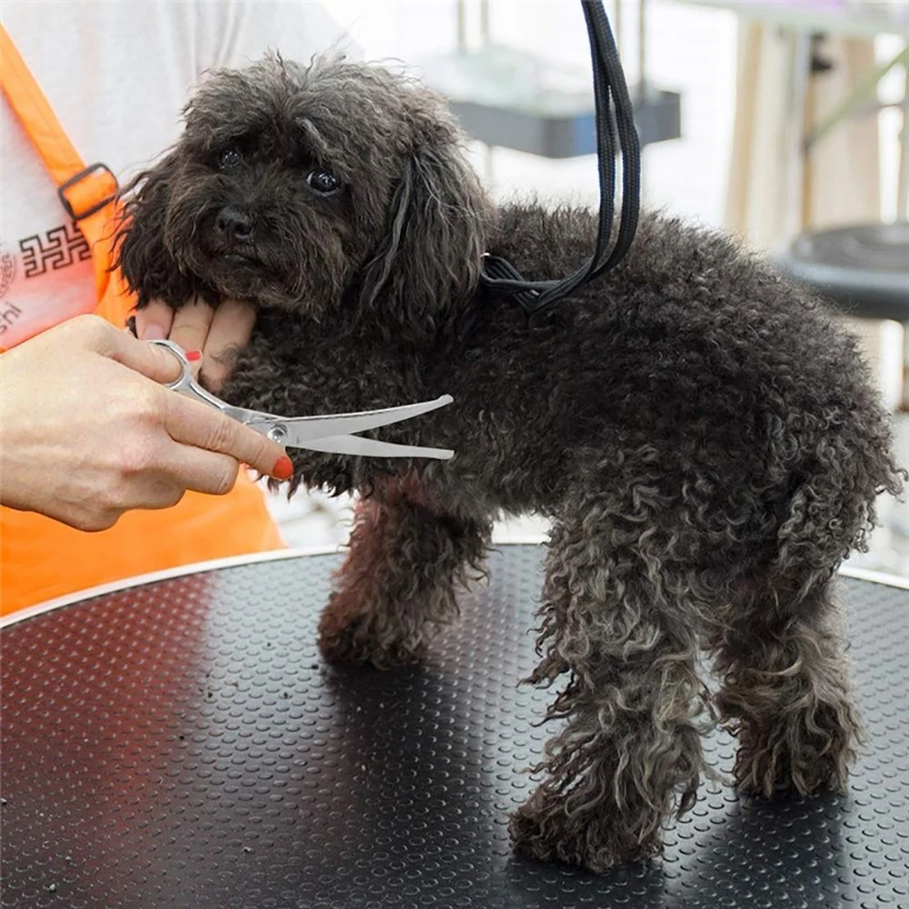 Ha96307055e7349c4a1aba669ea192bd7a.jpg?width=1000&height=1000&hash=2000