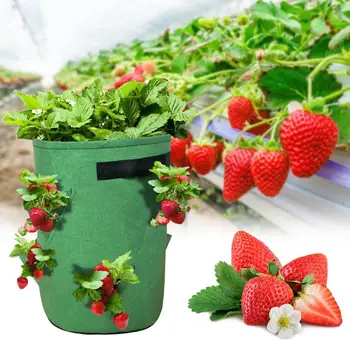 

Strawberry Planter Pot Washable Kraft Paper Flowerpot Creative Desktop Flower Pots Reuseable Multifunction Home Storage Bag