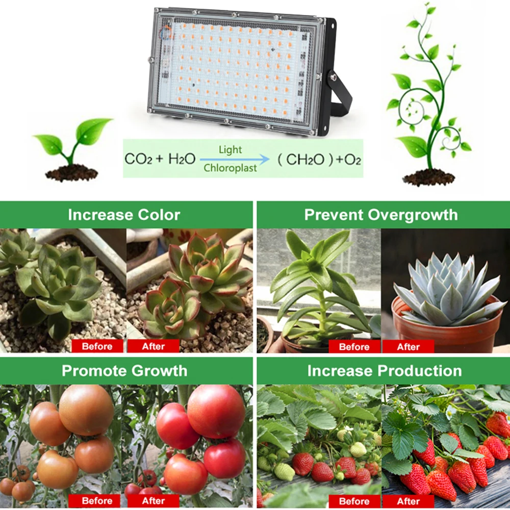 Slide image d7ee64db8e9b4004a2cb4ae3d56e49c9