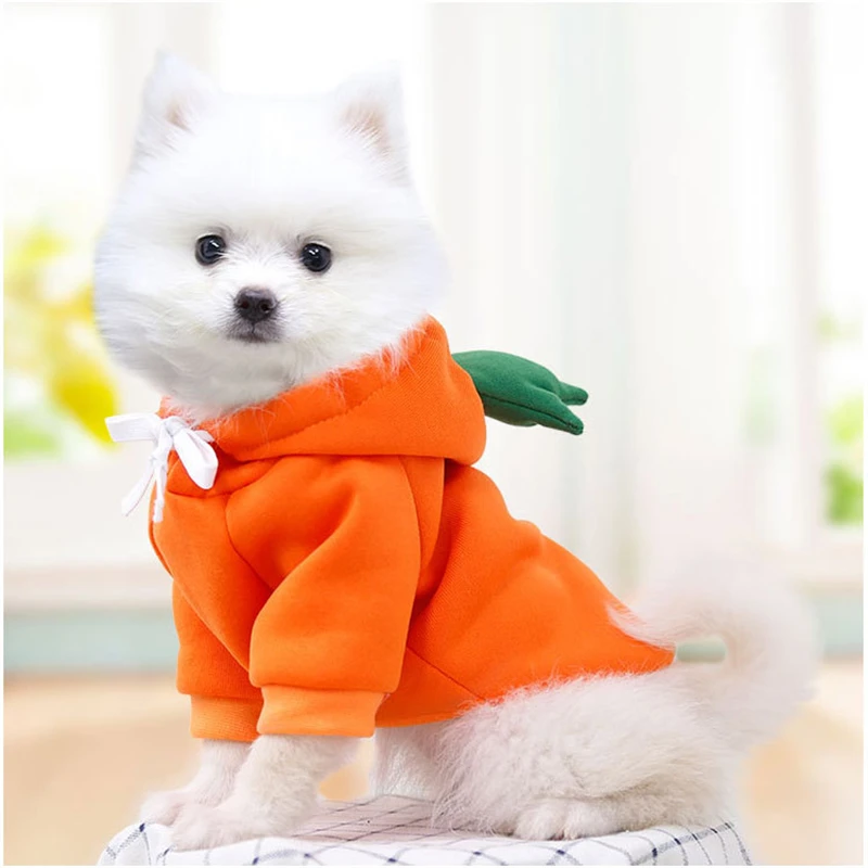 Hooded Sweatshirt Fruit Warm Coat Sweater Costume Dog Cat