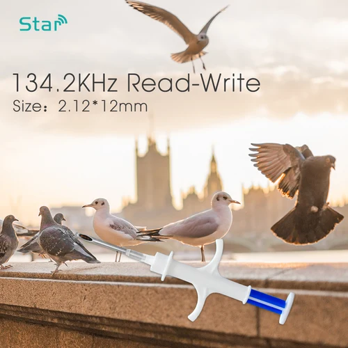 ISO11784 FDX-B 2.12x12mm 고양이 개 마이크로 칩 동물 주사기 ID 이식 애완 동물 칩 바늘 수의사 개 고양이 물고기를위한 RFID 주입기 구덩이 꼬리표 3