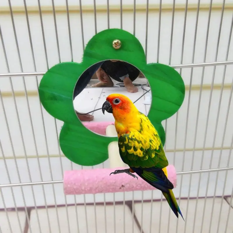 Птичье зеркало в виде попугая игрушка с окунем для Conure Finch стойка для сидения Когтеточка окуня D5BD