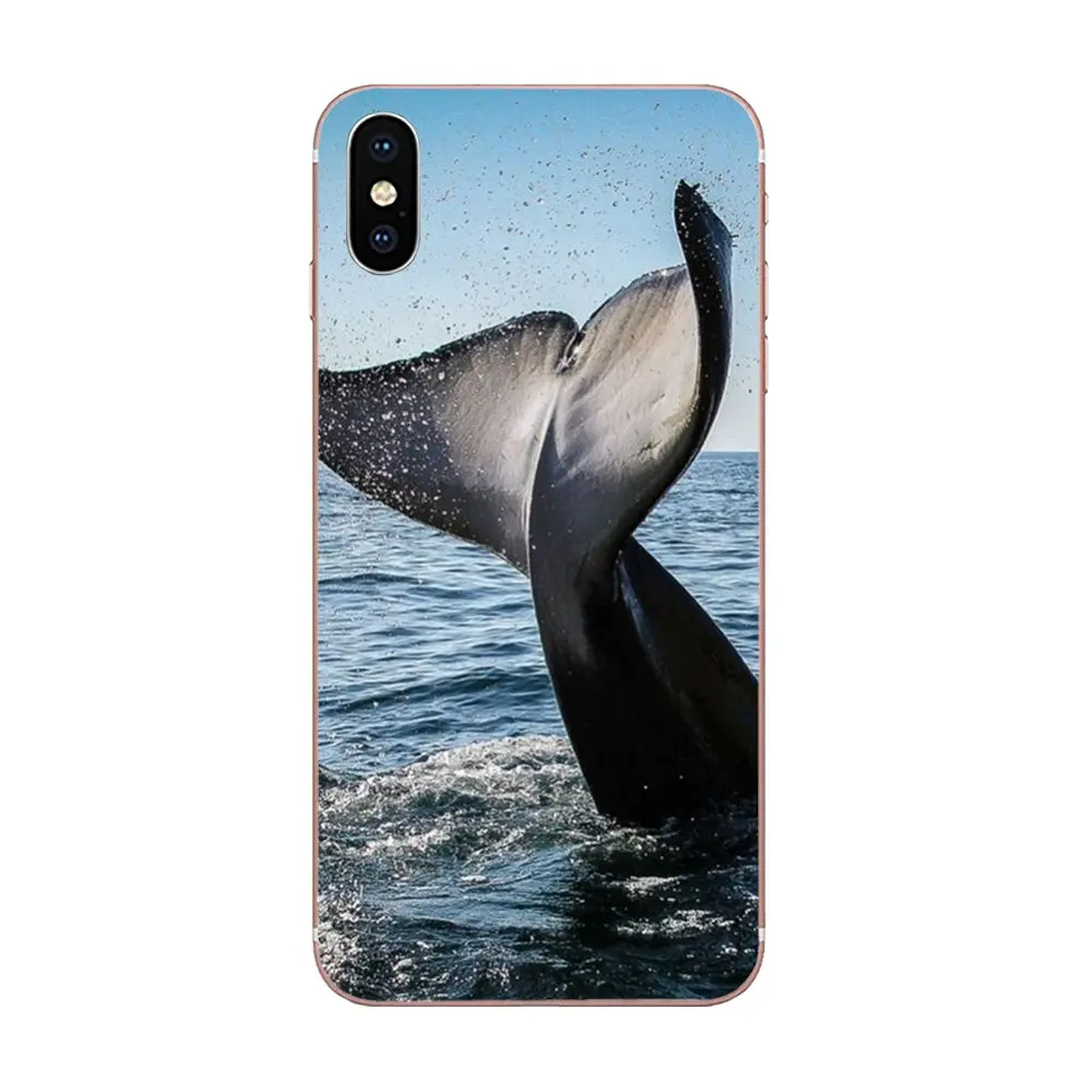 Killer Whale Orca для samsung Galaxy Note 5 8 9 S3 S4 S5 S6 S7 S8 S9 S10 5G mini Edge Plus Lite красивые чехлы для телефонов - Цвет: as picture