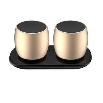 

Sardine F1 Portable True Wireless Speaker Mini Metal Music Sound Box TWS BT5.0 Speakers MP3 Player with Microphone Charging Dock