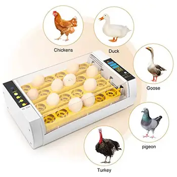 

Newest Farm Hatchery Incubator Brooder Machine 24 Egg Hatchers Automatic Chicken Egg Incubator Bird Quail Brooder Temp Humidity