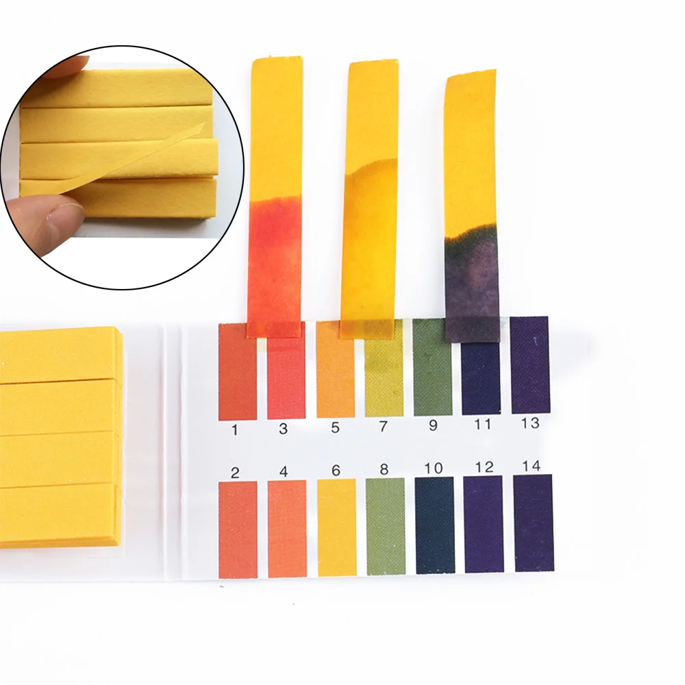 Litmus Paper And The Litmus Test