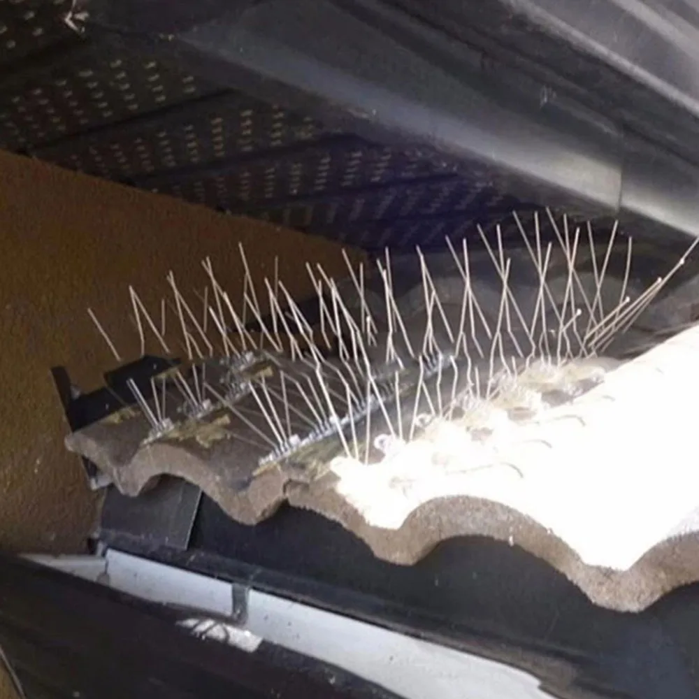 334a9b632a1340b2ab1e0ac3ce877a7e