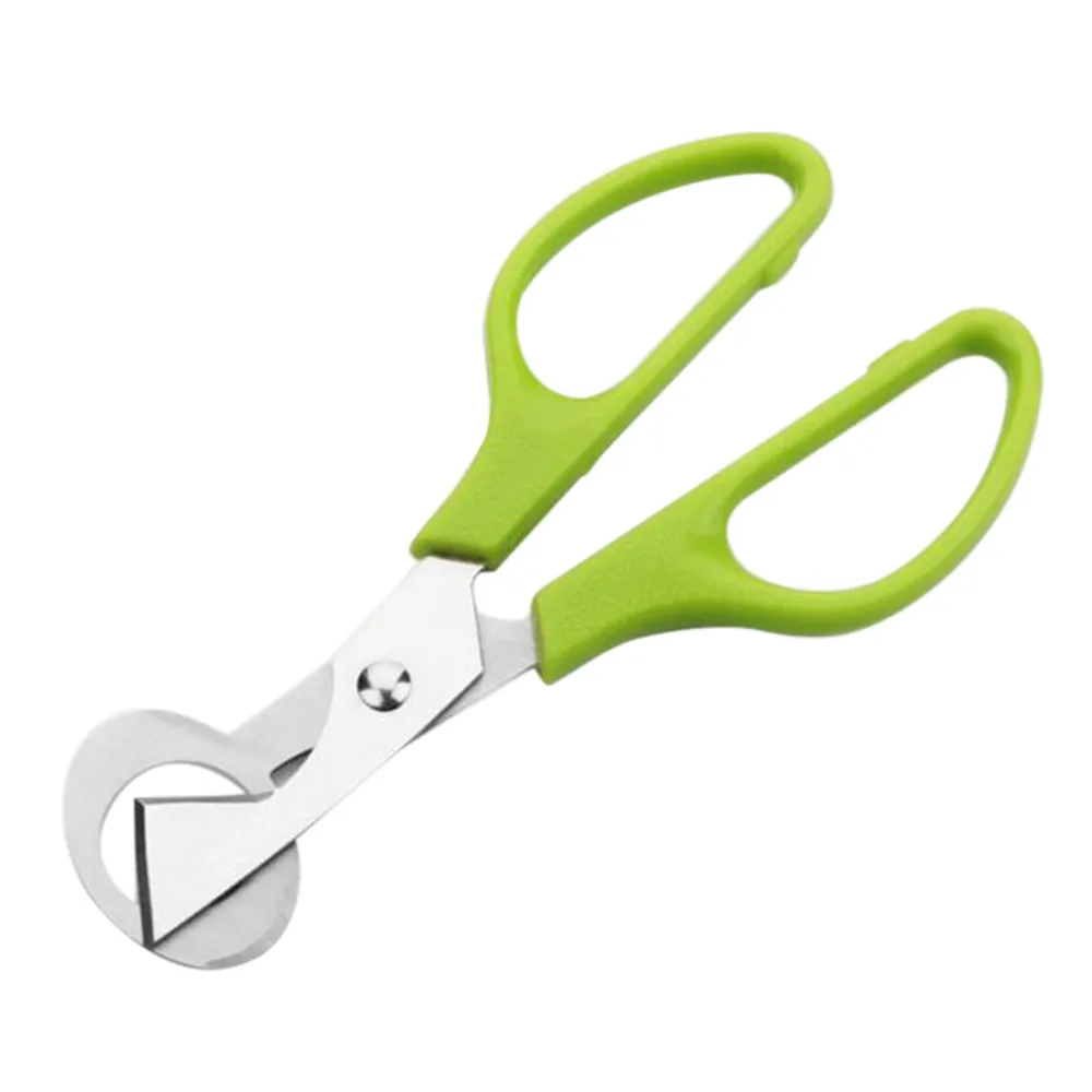 WTX70601482_2017060112261059