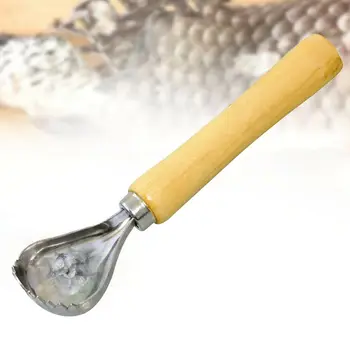 

Fish Scalers Brush Serrated Fish Scalers Remover with Wooden Handle Easily Remove Fish Scales Durable Kitchen Tool HY99