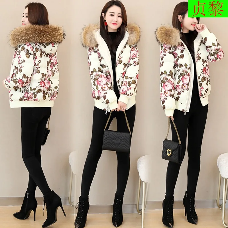 

Small Cotton-Padded Jacket Women's Short 2018 Winter New Style Korean-style Slim Fit Slimming Thin Versatile Cotton-padded Cloth