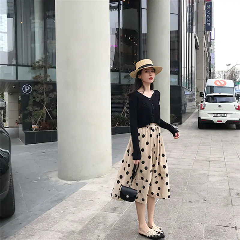 

France Non-mainstream Platycodon Grandiflorum Skirt Two-Piece Set 2019 Spring And Autumn New Style High-waisted Polka Dot A- lin
