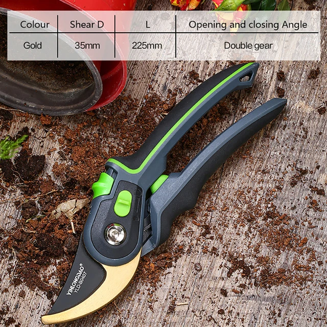 DTBD Plant Trim Horticulture Pruner Cut Secateur Shrub Garden Scissor Tool Branch Shear Orchard Pruning Shears Folding Saw Set Gold