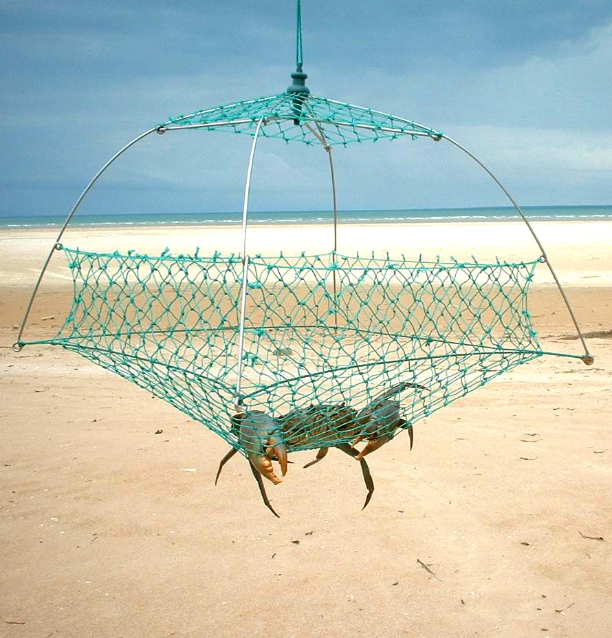 MA640 Small Crabbing Traps Open-sided Pot Suitable for Mud Crabs Crab Pots  Blue swimmers Blue crabs, Lobsters & Large Cray fish - AliExpress