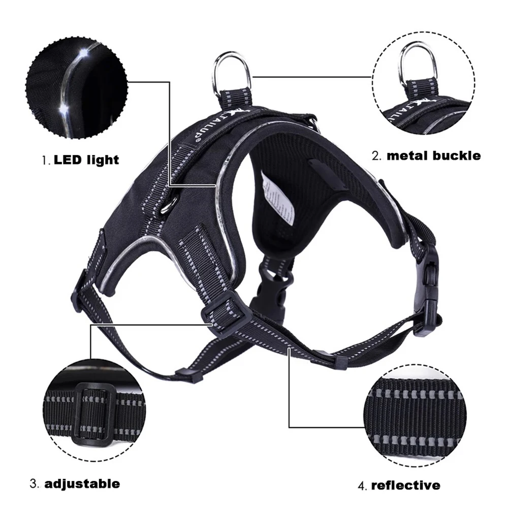 Arnés LED recargable para mascotas, correa de seguridad para perros, correa de nailon para luz intermitente Led, arnés para perro mascota, accesorios para perros ► Foto 2/6
