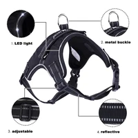 Rechargeable LED Dog Harness
