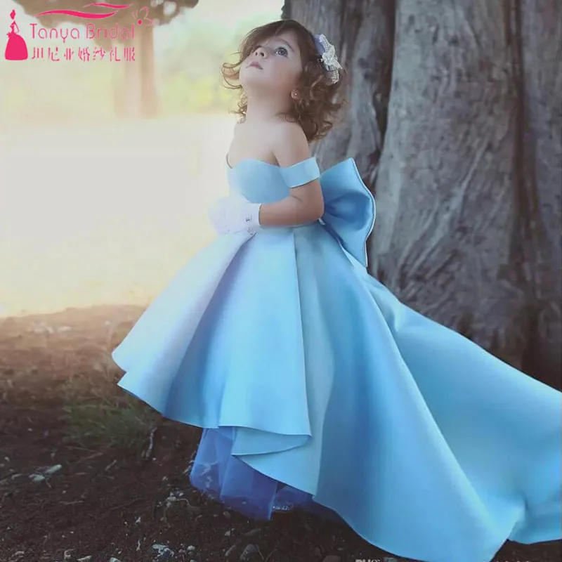 Light Sky Blue Flower Girls' Dresses 