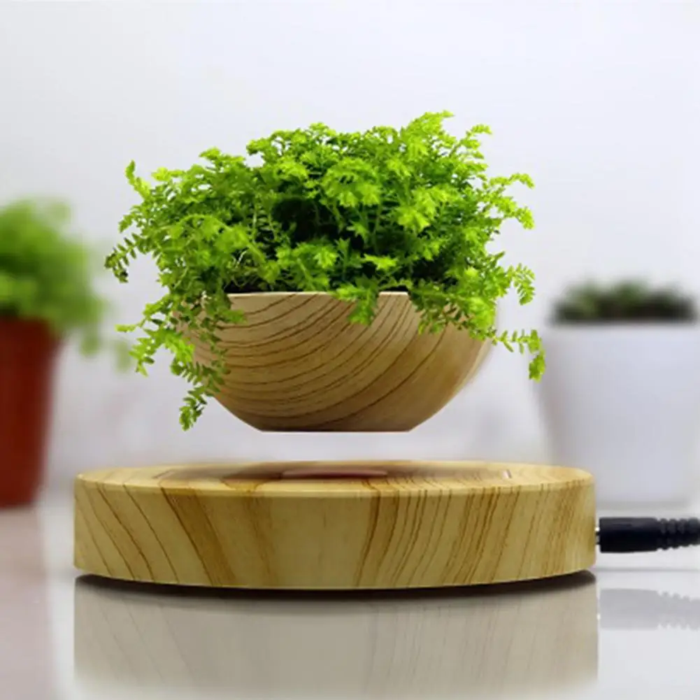 Magnetic Levitating Potted Plant Air Bonsai Pot Levitation Plants Planter Flower Pots Succulent Plant For Home Office Decor