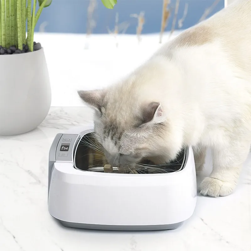 

Indoor Outdoor Round Food Water Bowl Stainless Steel Heated Dog Feeder Smart Thermal Feeding Device Non-Slip Dog Bowl For Dogs