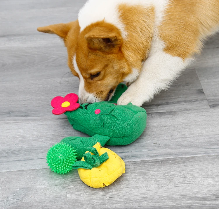 The 12 Best Dog Toys, According To Our Pups Reviews By Wirecutter