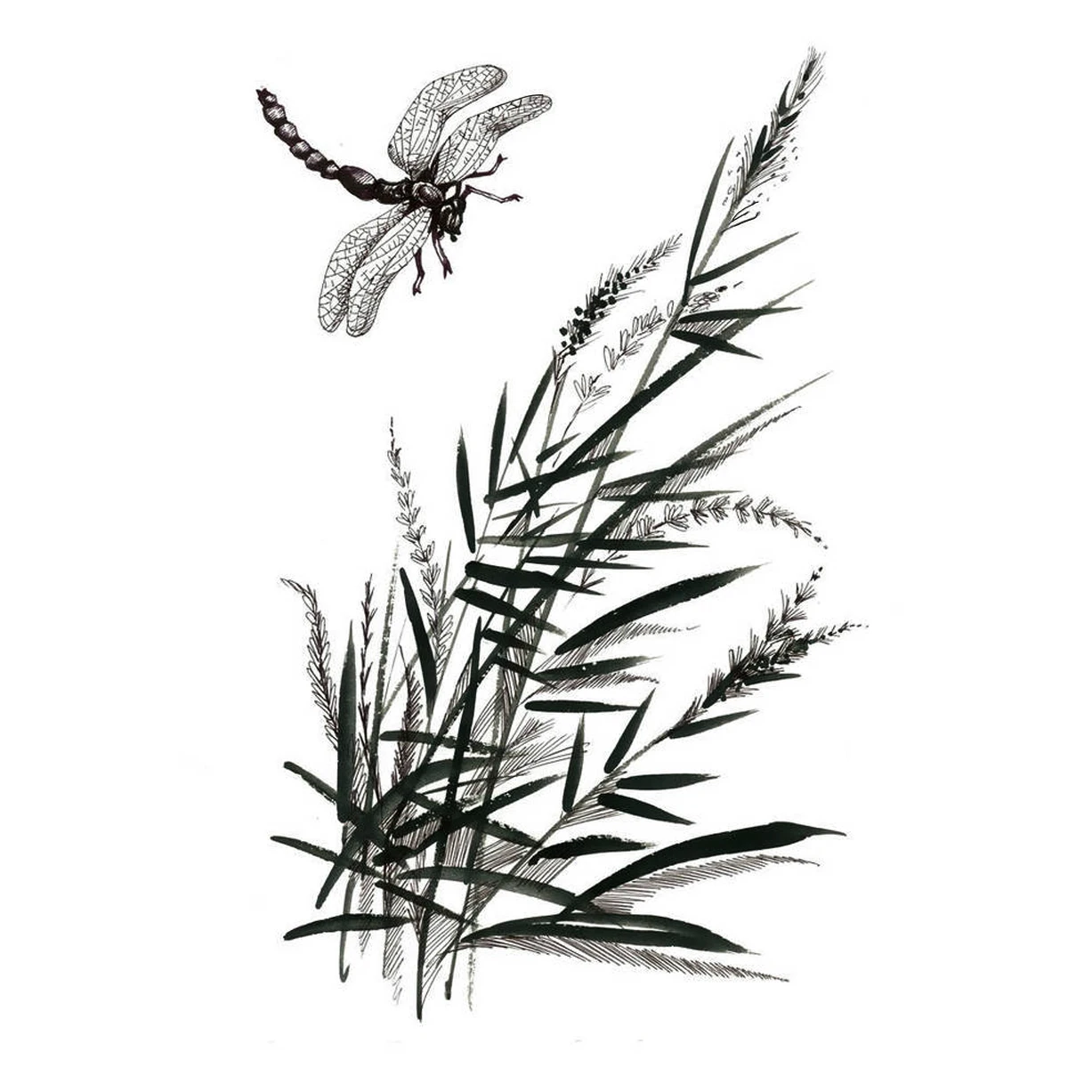 Резиновые прозрачные штампы Pampas Grass and Dragonfly для сделай сам скрапбукинга