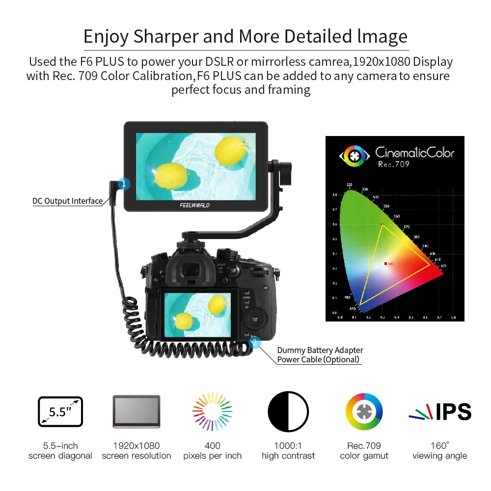 FEELWORLD F6 Plus V2 6' On-camera DSLR Field Monitor Touch Screen Monitor with HDR 3D Lut IPS FHD 1920x1080 Video Focus Assis images - 6