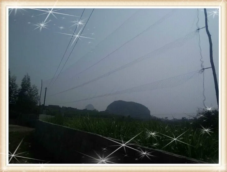 HTB1Pgg_MXXXXXXCaXXXq6xXFXXXy