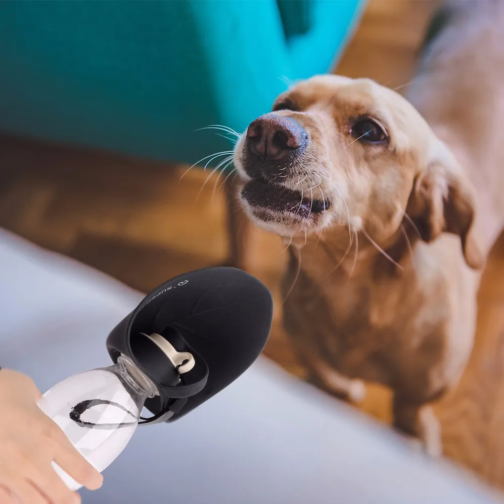 

Sport Portable Pet Dog Water Bottle Expandable Silicone Travel Dogs Bowl For Puppy Cat Drinking Outdoor Travel Dispenser 650ML