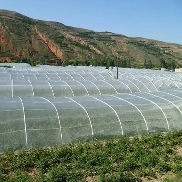 Kerti Növényi Gyümölcsvédő Légy Rovarriasztó Háló Kertészeti Borító (Fehér) - Image 2