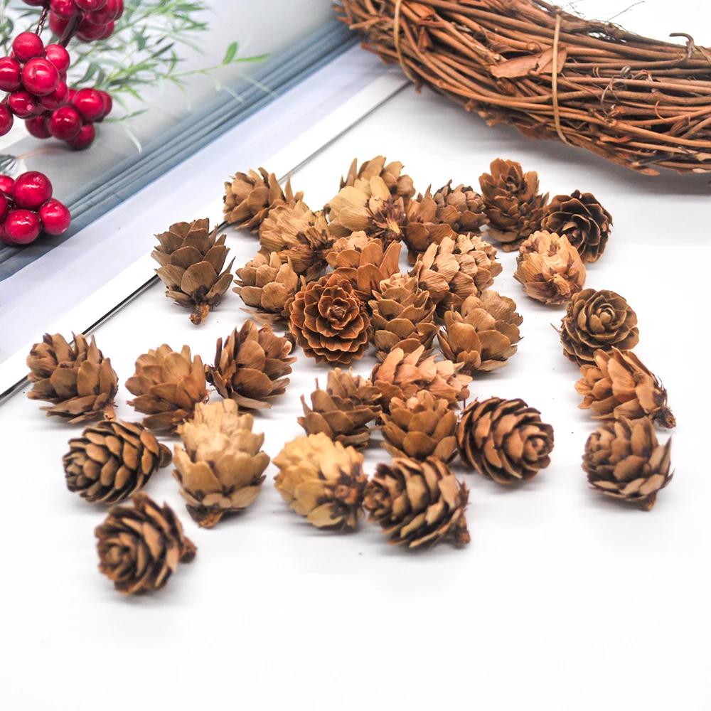 Pinecone (5)
