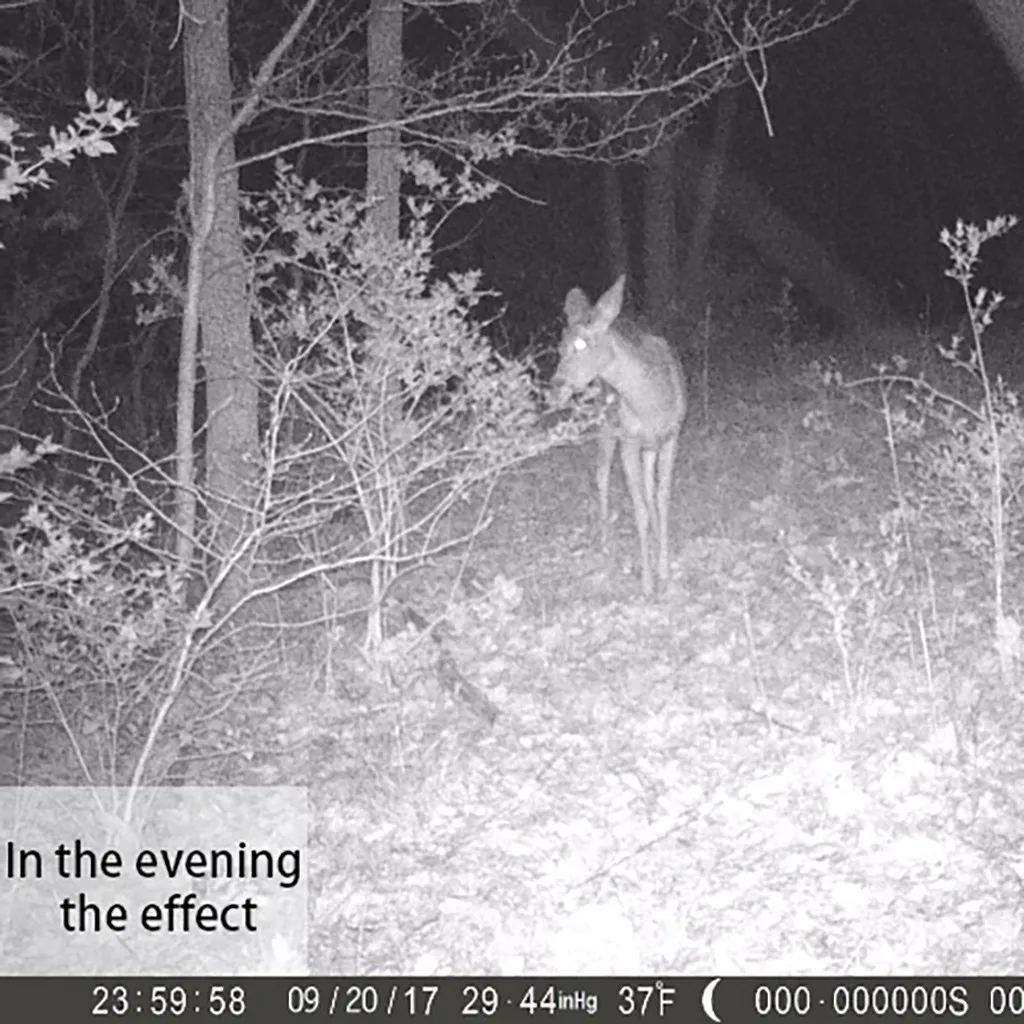 Мини Скрытая Микро камера wifi espia 1080P HD kamera 130 широкоугольный объектив камера для охоты и дикой природы с водонепроницаемой IP66