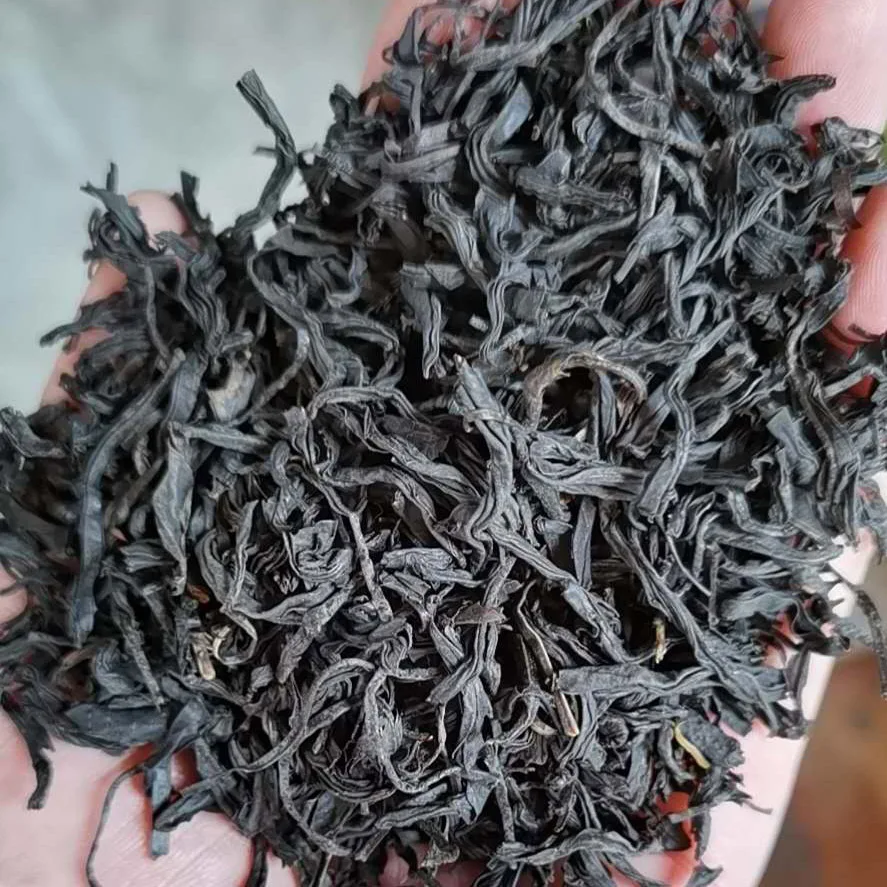 e3e19ecfc6475220e5d9bf5011c382