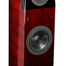 Aurum Cantus God 5 8 дюймов громкоговоритель AC200/DC50C2CWoofer Midrange AC130/DC25CK твитер AST2560 3 способа 3 единицы рояльный лак