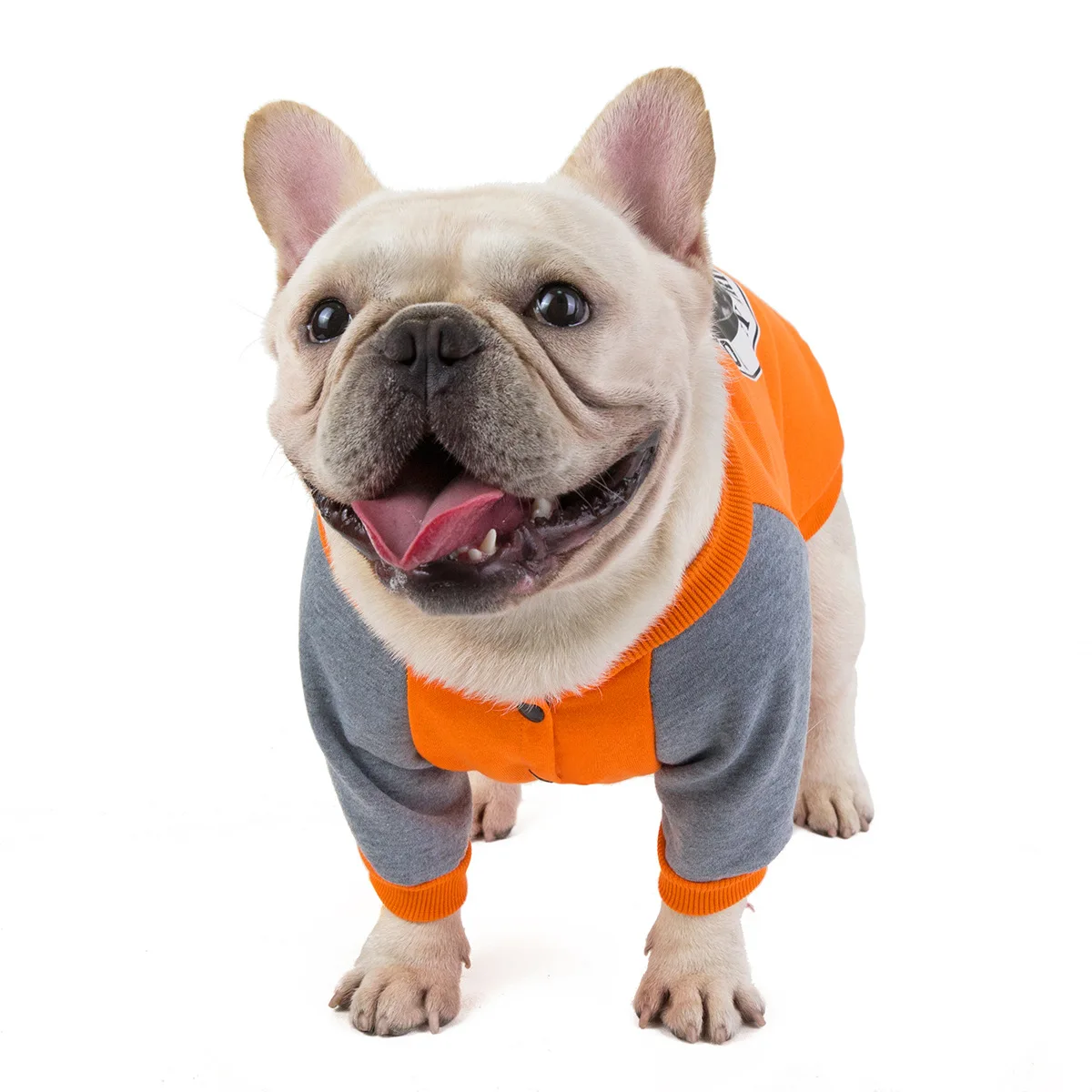 Одежда для собак, куртка для французского бульдога, зимняя куртка для собак, модная полосатая одежда для домашних животных, Новые товары для домашних животных