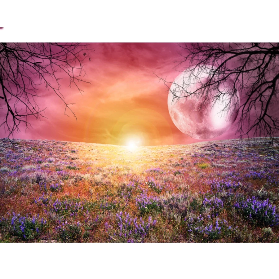 HTB13fhgaPzuK1RjSsppq6xz0XXa8