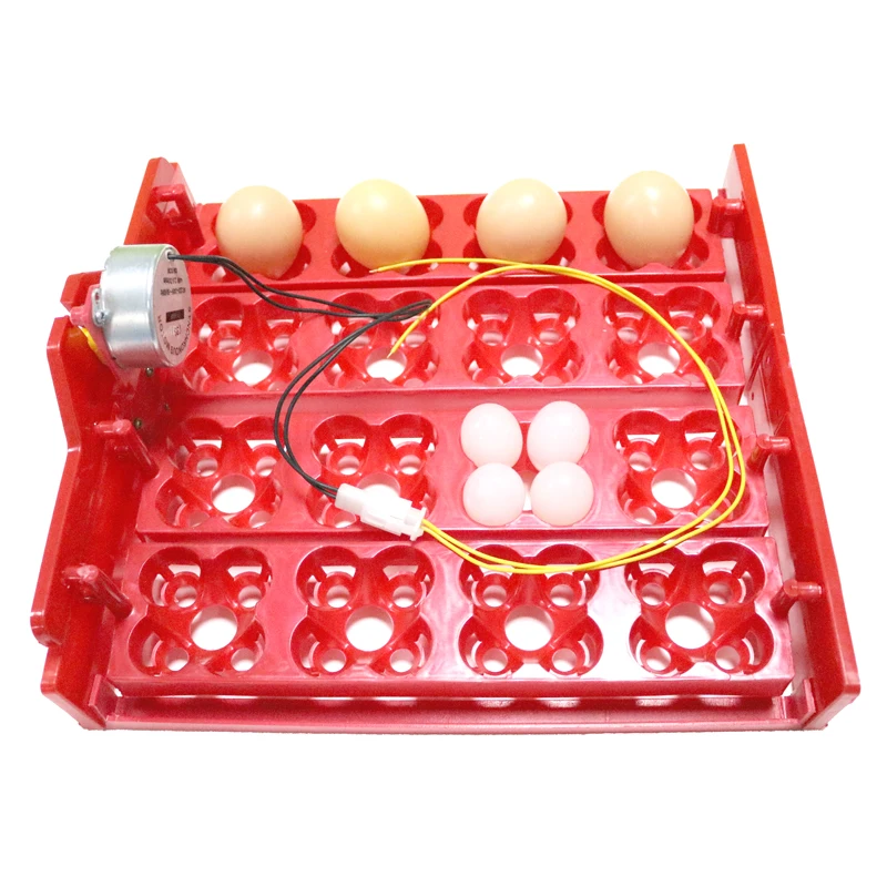 16 Chicken Eggs 64 Quail Eggs Parrot Eggs Egg Incubator Tray Applied Voltage Is 110v / 220v /12v Incubator Accessories