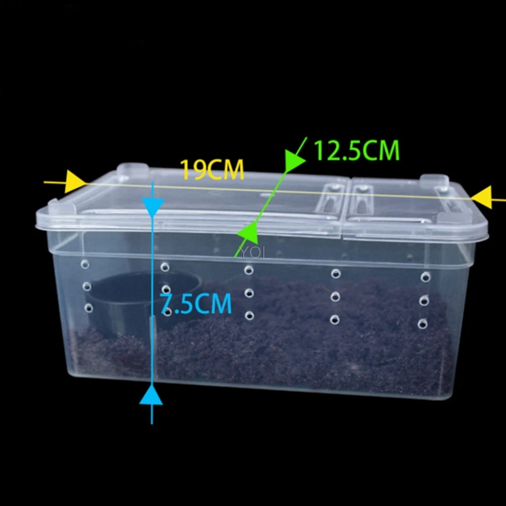 Террариум для рептилий прозрачная пластиковая коробка насекомых рептилий транспорт разведение живого корма миска для кормления малышей резервуар для черепахи лампа для рептилий
