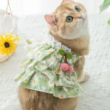 Новая летняя одежда с рисунком кота кружевная юбка с маргаритками в виде листьев лотоса синяя юбка с кошкой весенне-летняя одежда для собак с изображением котенка Новая летняя одежда с рисунком кота кружевная юбка с маргаритками в виде листьев лотоса синяя юбка с кошкой весенне-летняя одежда для собак с изображением котенка