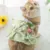 Летняя Новая Одежда для кошек Lotus Leaf Lace Daisy Skirt Blue Cat Skirt Spring and Summer Dog Clothing for Kitty Puupy