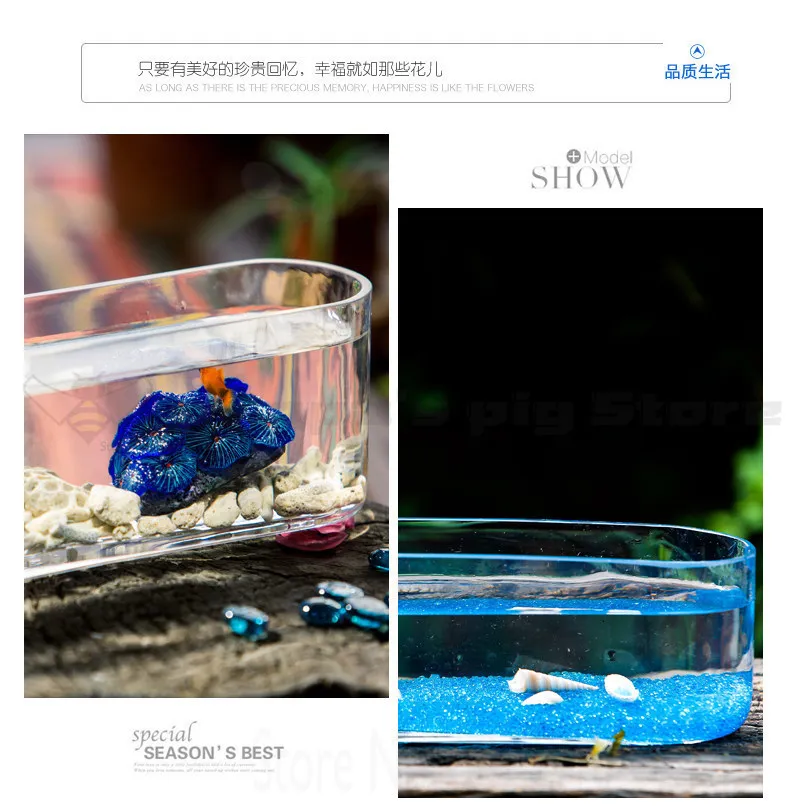 Glass Aquarium Small Living Room Creative Desktop Ecological Aquarium Rectangular Mini Desk Landscaping Aquarium Fish Tanks