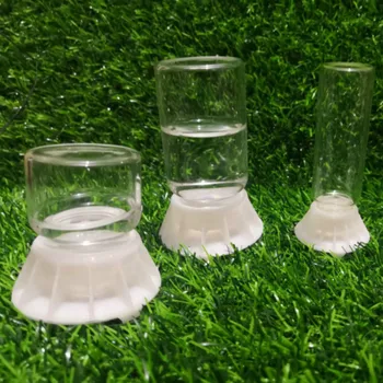 

Honey Water Feeder Special for Ants Is Watertight Clean and Safe Honey Feeding Tool Ants Farm House Insect Box