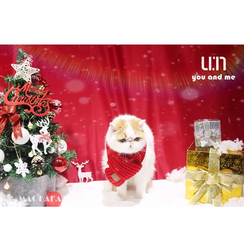 微信图片_20200111194623