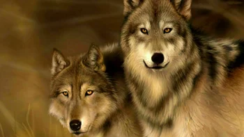

Wolf Highlands Wild Nature Animals Art Film Print Silk Poster Home Wall Decor 24x36inch