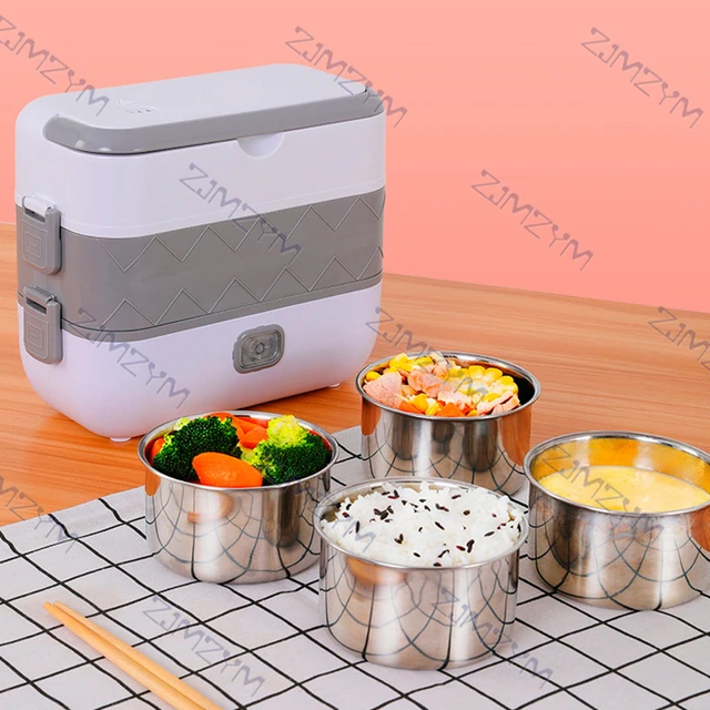 220V Electric Lunch Box Single/Double Layer Portable Food Heating Box Rice  Dishes Heater Container Food Warmer Stainless Steel - AliExpress