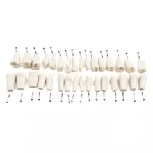 32 pces dentes para adc modelo credenciado dentes dentários modelo de ensino dental modelo de demonstração de dente