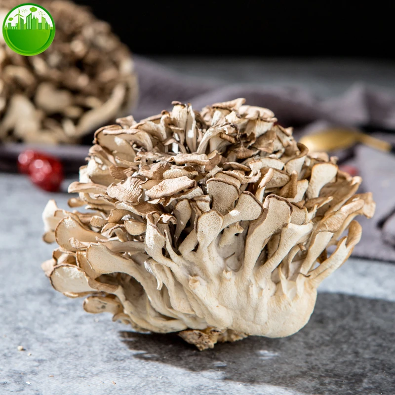 57-8828e7.jpg Dried Maitake Mushroom Chinese Grifola Frondosa Dancing Mushroom