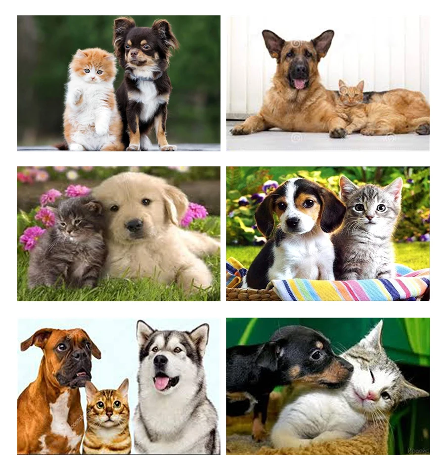 

"Diy5D Diamond Painting Animal Cats And Dogs Cross Stitch 2019 Diamond Embroidery Needlework Patterns Rhinestone Home DecorJq194